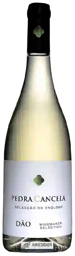 Weingut Pedra Cancela - Seleção do Enólogo Winemaker's Selection Branco Weingut Pedra Cancela - Seleção do Enólogo Winemaker's Selection Branco