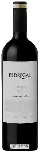 Weingut Pedregal - Roble Tannat