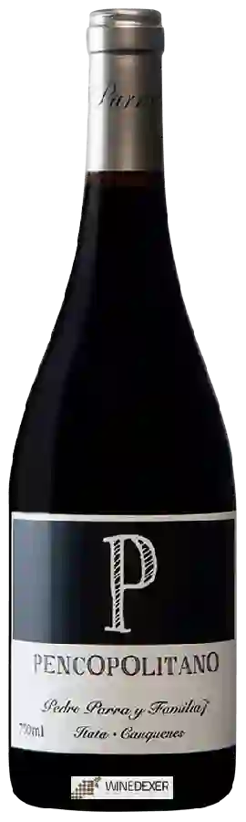 Weingut Pedro Parra y Familia - P Pencopolitano