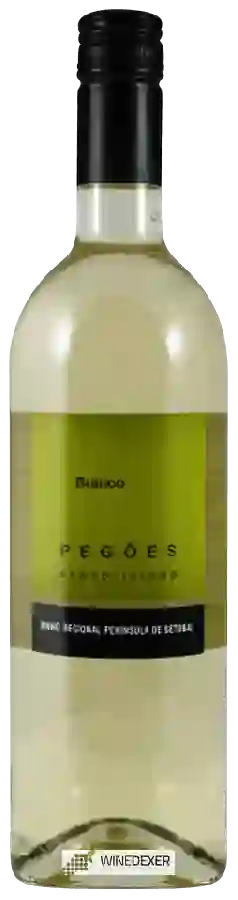 Weingut Santo Isidro de Pegões - Península de Setúbal Blanco