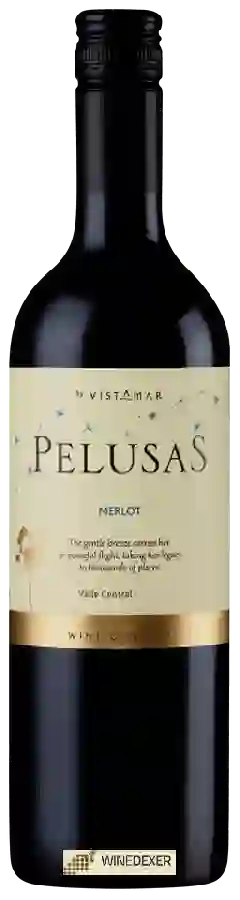 Weingut Pelusas - Merlot Weingut Pelusas - Merlot
