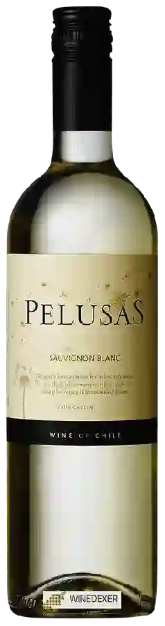 Weingut Pelusas - Sauvignon Blanc