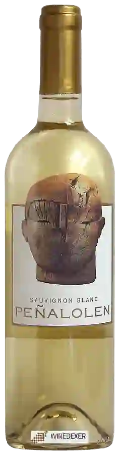 Weingut Peñalolen - Sauvignon Blanc