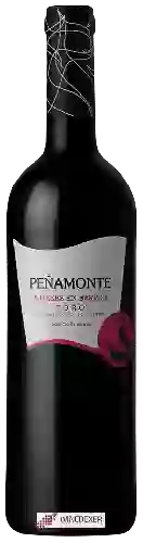 Weingut Peñamonte - 5 Meses en Barrica
