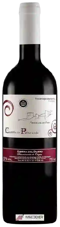 Weingut Castillo de Penaranda - Tinto Envejecido En Barrica 4 Meses