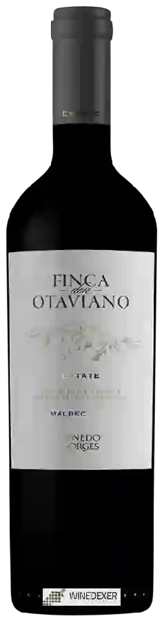 Weingut Otaviano - Penedo Borges Estate Malbec