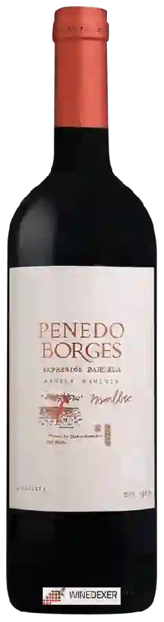 Weingut Otaviano - Penedo Borges Expresión Parcela Malbec Weingut Otaviano - Penedo Borges Expresión Parcela Malbec