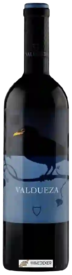 Weingut Marqués de Valdueza - Valdueza Weingut Marqués de Valdueza - Valdueza
