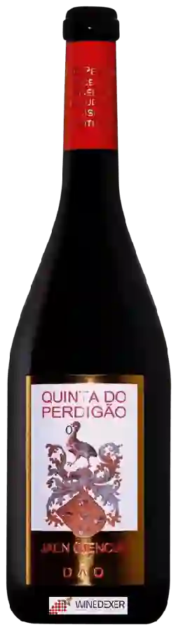 Weingut Quinta do Perdigão - Jaen (Mencia)