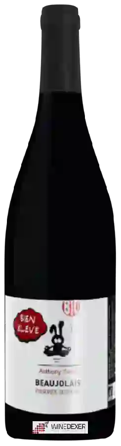 Domaine Pérol - Bien Élevé Beaujolais