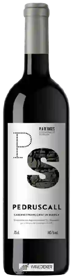 Weingut Vinyes de Castellgali - Pedruscall