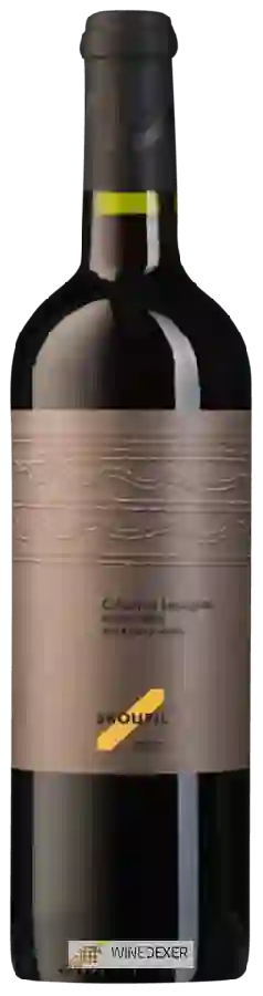 Weingut Petr Skoupil - Cabernet Sauvignon Pozdní Sběr