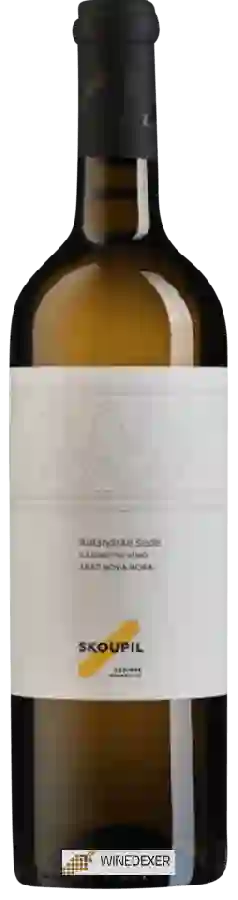 Weingut Petr Skoupil - Rulandské Šedé Kabinetní Víno