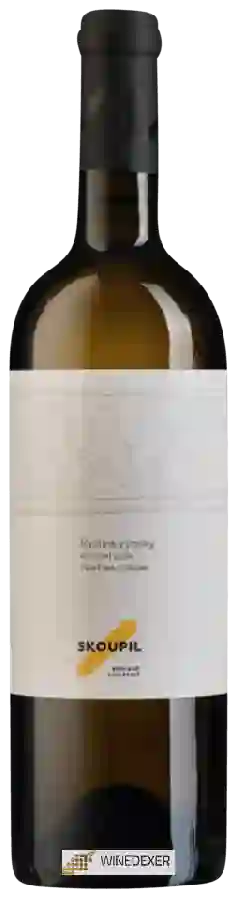 Weingut Petr Skoupil - Ryzlink Rýnský Pozdní Sběr