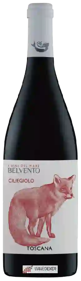 Weingut Petra - Belvento Ciliegiolo (I Vini del Mare)