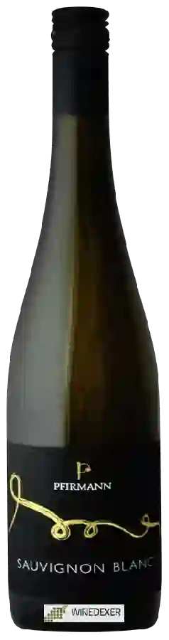 Weingut Pfirmann - Sauvignon Blanc Weingut Pfirmann - Sauvignon Blanc