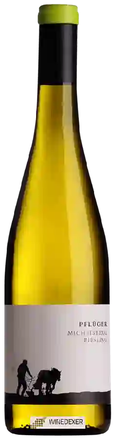 Weingut Pflüger - Michelsberg Riesling Weingut Pflüger - Michelsberg Riesling