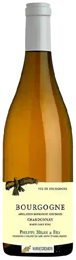 Weingut Philippe Milan & Fils - Bourgogne Chardonnay Weingut Philippe Milan & Fils - Bourgogne Chardonnay