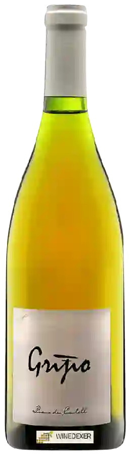 Weingut Piana dei Castelli - Grigio Weingut Piana dei Castelli - Grigio