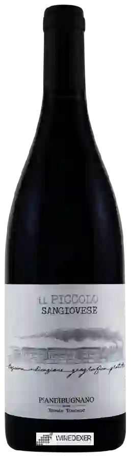Weingut Piandibugnano - Il Piccolo Sangiovese