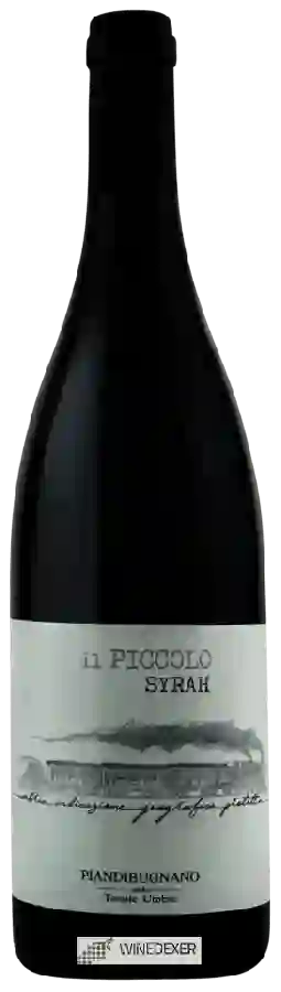 Weingut Piandibugnano - Il Piccolo Syrah