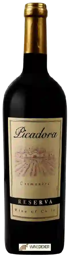 Weingut Picadora - Reserva Carmenère