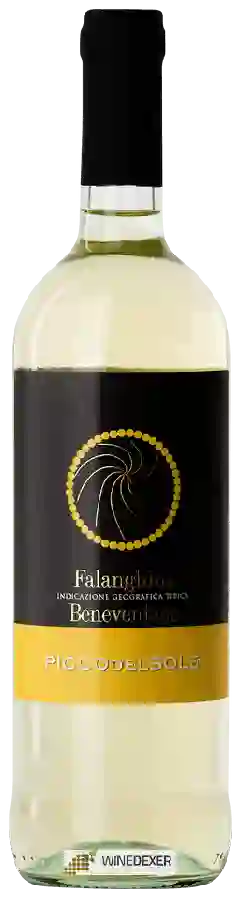 Weingut Picco Del Sole - Falanghina Beneventano