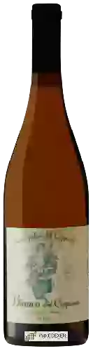 Weingut Piccolo Podere del Ceppaiolo - Bianco del Ceppaiolo