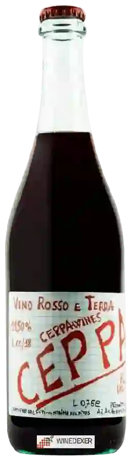 Weingut Piccolo Podere del Ceppaiolo - Cepparu Weingut Piccolo Podere del Ceppaiolo - Cepparu