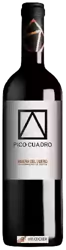 Weingut Pico Cuadro - Ribera del Duero
