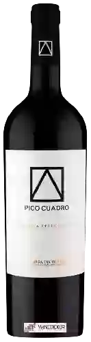 Weingut Pico Cuadro - Vendimia Seleccionada