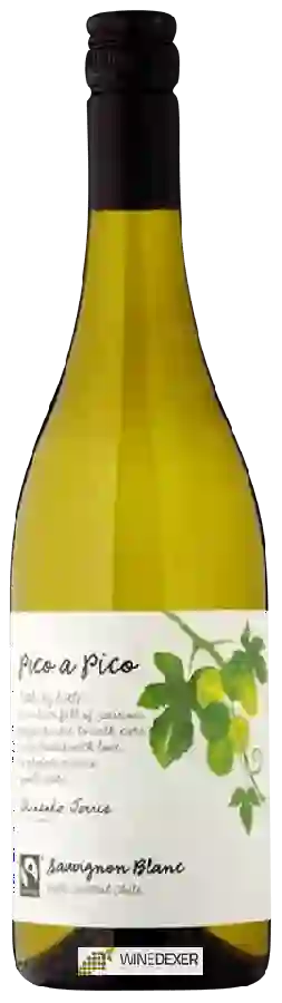 Weingut Pico a Pico - Sauvignon Blanc Weingut Pico a Pico - Sauvignon Blanc
