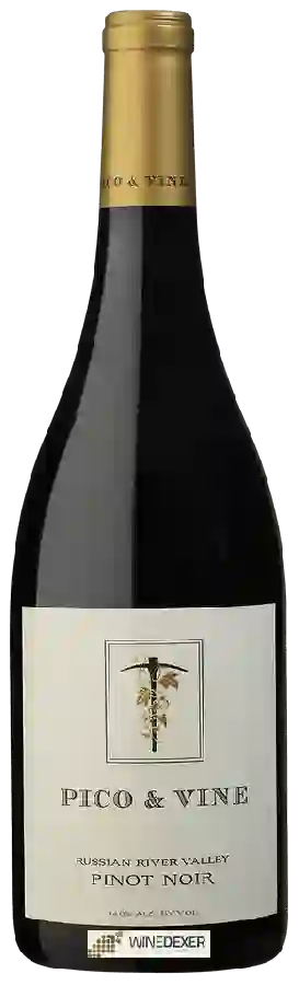 Weingut Pico & Vine - Pinot Noir Weingut Pico & Vine - Pinot Noir