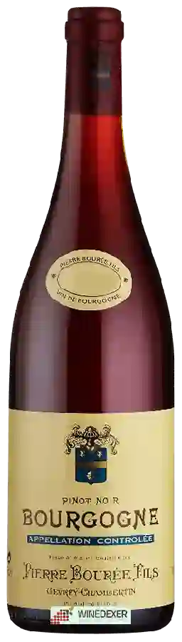 Weingut Pierre Bourée Fils - Bourgogne Rouge Weingut Pierre Bourée Fils - Bourgogne Rouge