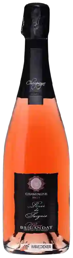 Weingut Pierre Brigandat & Fils - Rosé de Saignée Brut Champagne Weingut Pierre Brigandat & Fils - Rosé de Saignée Brut Champagne