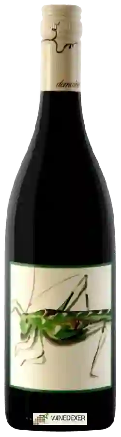 Domaine Pouillon - Katydid