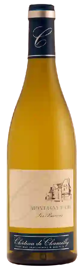 Weingut Pierre-Yves Colin-Morey - Montagny Premier Cru Les Burnins