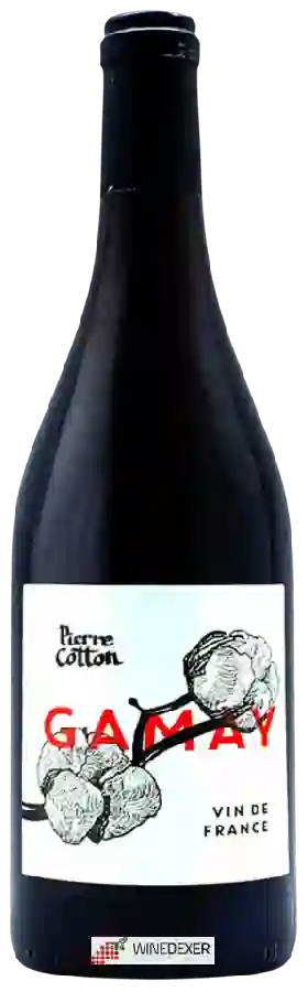 Weingut Pierre Cotton - Gamay Weingut Pierre Cotton - Gamay