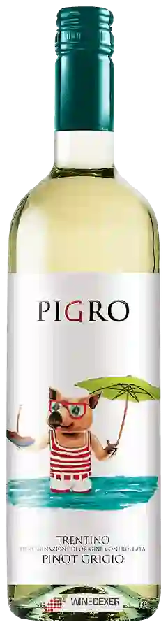 Weingut Pigro - Pinot Grigio Weingut Pigro - Pinot Grigio