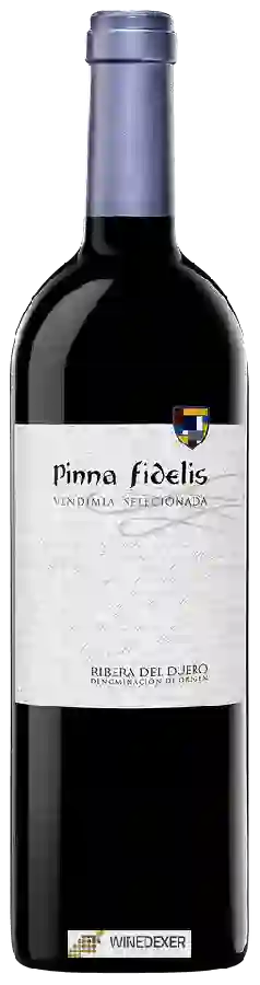 Weingut Pinna Fidelis - Ribera del Duero Vendimia Seleccionada