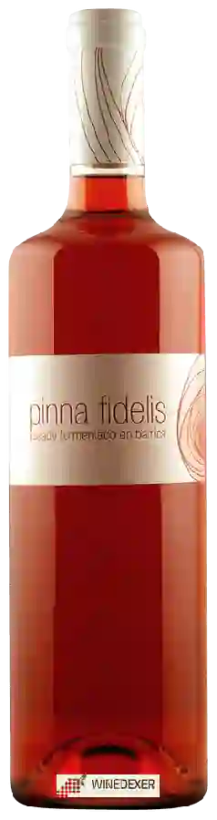 Weingut Pinna Fidelis - Rosado Fermentado en Barrica