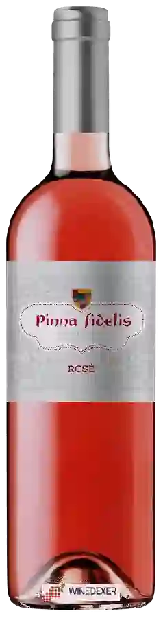 Weingut Pinna Fidelis - Rosé Weingut Pinna Fidelis - Rosé