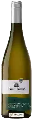 Weingut Pinna Fidelis - Rueda Verdejo