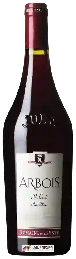 Domaine de la Pinte - Poulsard Pinte Bien Arbois