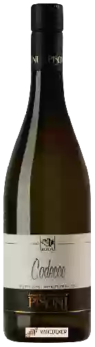 Weingut Azienda Agricola Pisoni - Codecce