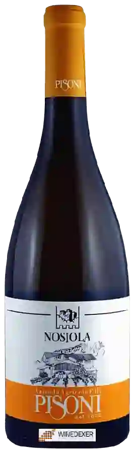 Weingut Azienda Agricola Pisoni - Nosiola Weingut Azienda Agricola Pisoni - Nosiola