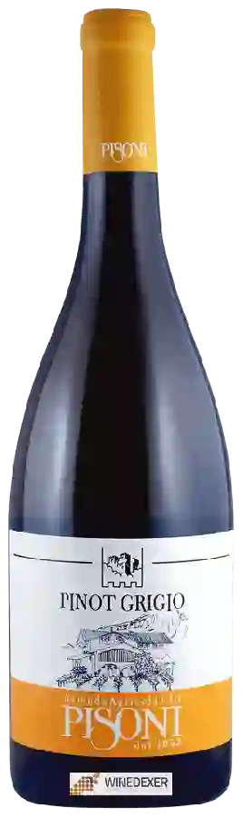 Weingut Azienda Agricola Pisoni - Pinot Grigio Weingut Azienda Agricola Pisoni - Pinot Grigio