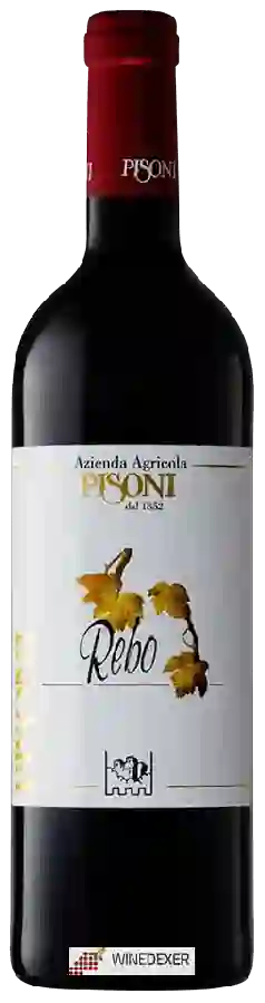 Weingut Azienda Agricola Pisoni - Rebo