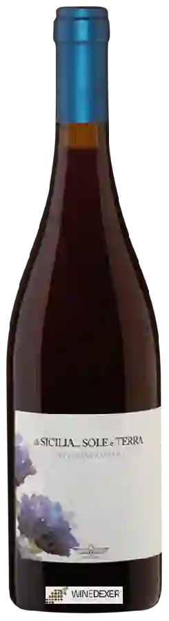 Weingut Pittore Contadino - Di Sicilia...Sole e Terra Frappato Weingut Pittore Contadino - Di Sicilia...Sole e Terra Frappato