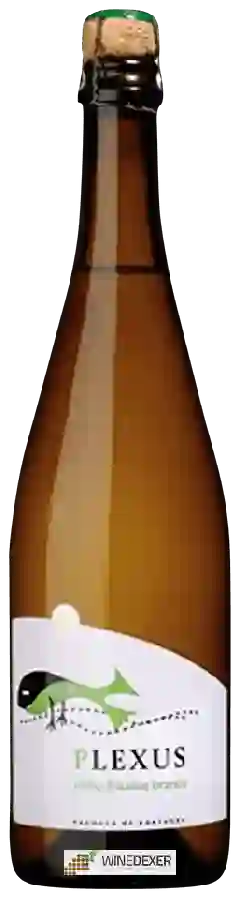 Weingut Plexus - Frisante Branco Weingut Plexus - Frisante Branco